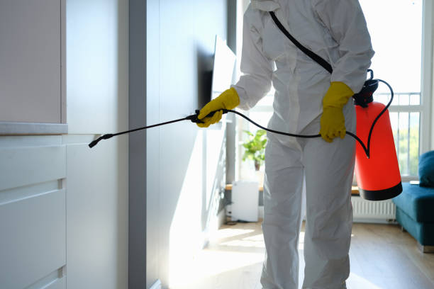 Best Residential Mold Removal  in Rainier, OR